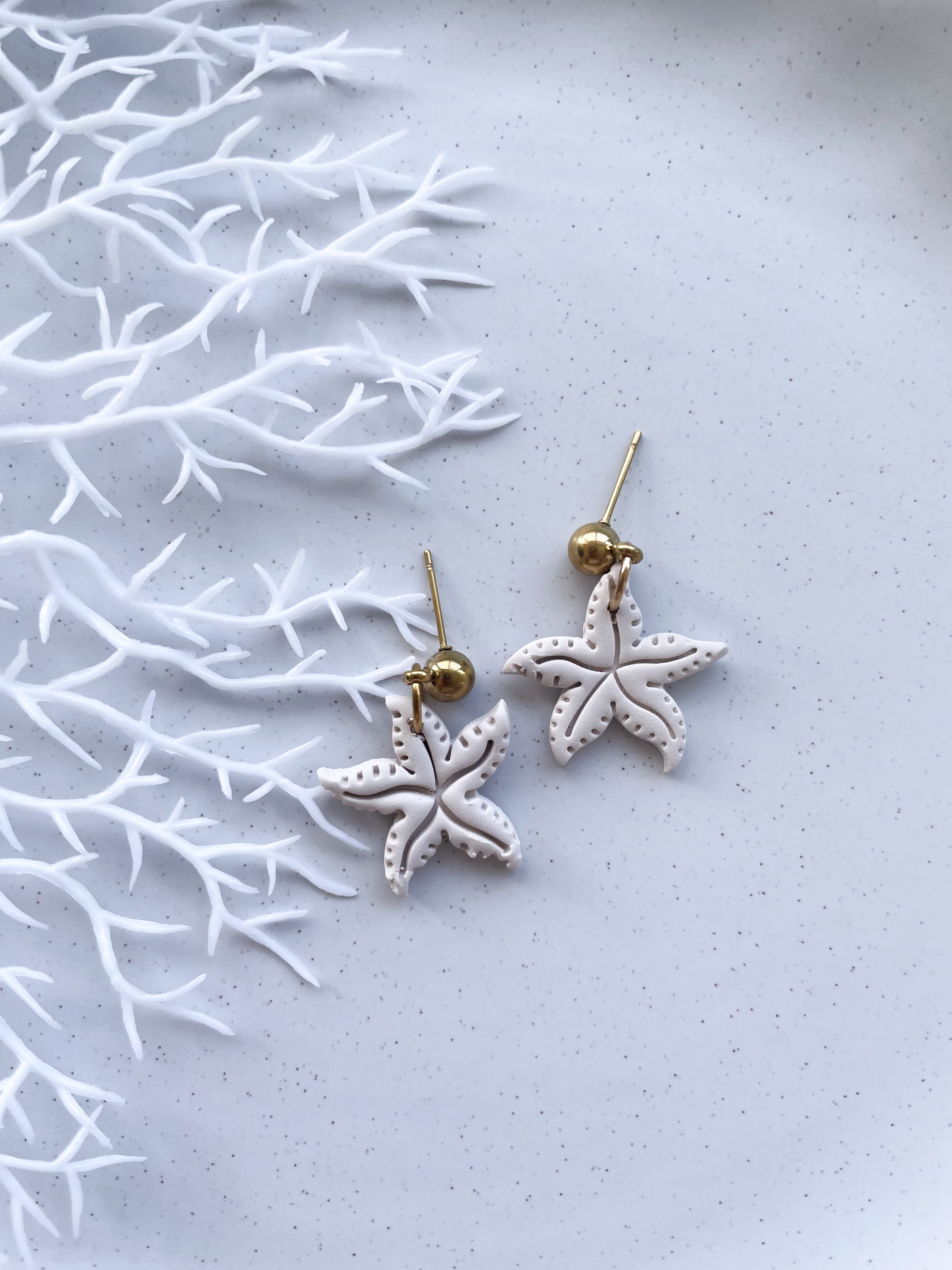 White starfish